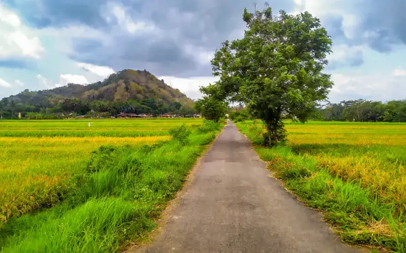 Yogyakarta: Kwagon Village Walk