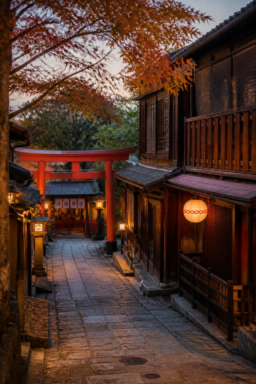 Quiet lane in Kyoto during a guided walk