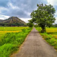 Live tour view of Yogyakarta